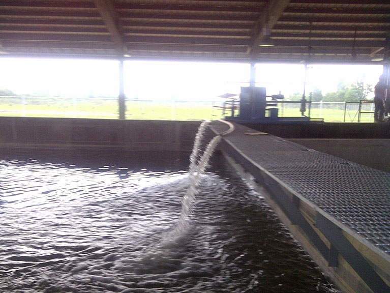 Mendahara-20130527-00569