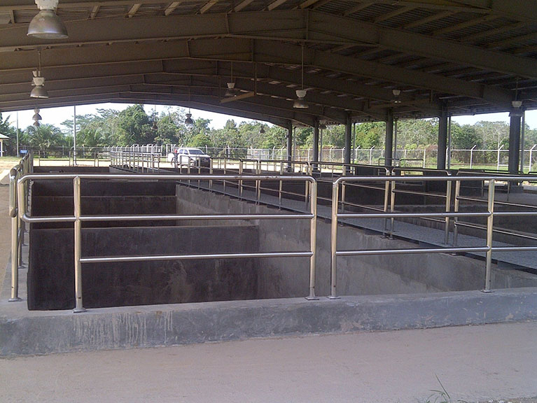 Mendahara-20130620-00702